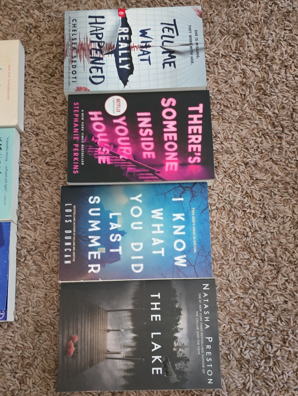 Assorted Thriller Paperback Book Lot - Black, Blue, Pink Covers